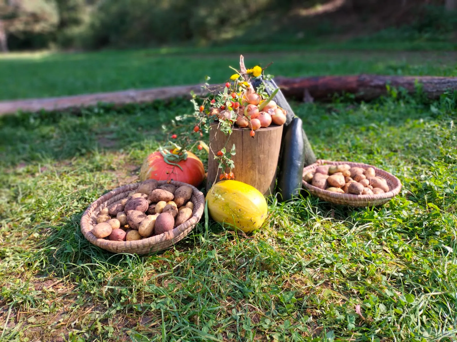 Unsere Ernte zum Erntedank