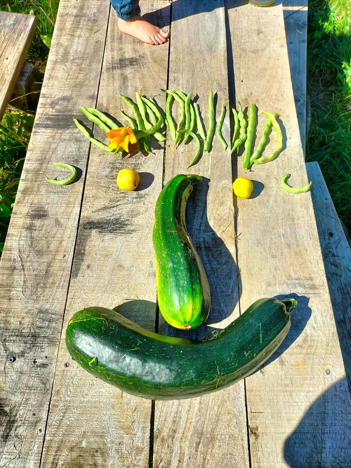 Ein lustiges Gesicht aus unserer Ernte